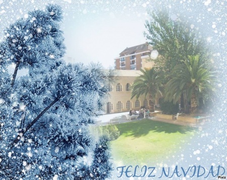 FELIZ NAVIDAD Y PROSPERO AÑO NUEVO
