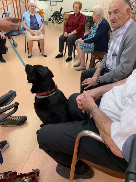 TERAPIA ASISTIDA CON PERROS