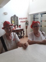 FIESTAS DE TUDELA 2019