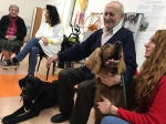 SESION ESPECIAL NAVIDAD CON PERROS