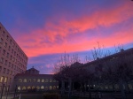 Amanecer RCM